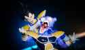 SHF DBZ Vegeta 24000 7