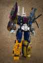 ocular-max-bruticus