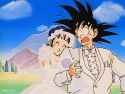 goku-and-chichi-love