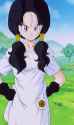 Videl_Episode_207