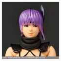 revoltech-ay-ninja-gaiden-3-ayane-action-figure