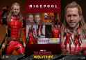 Hot-Toys-Nicepool-021