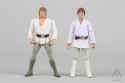 vc344_luke_skywalker_25[1]