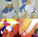 Donald-Duck-erection-meme-7