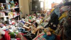 hoarder_blog_img_8-10-20__primary