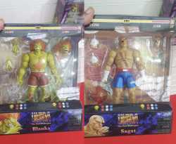 sagat and blanka