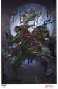 dooney tmnt 
