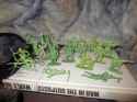 Light Green Japanese Division