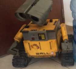 wali