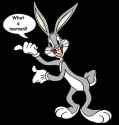 Mr. Bunny