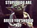 stupid you are yoda
