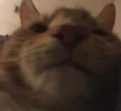 1685643059969167