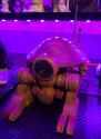 Screenshot_20250507_220618_Gallery