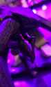 Screenshot_20250509_134413_Gallery