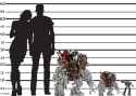 Human Scale