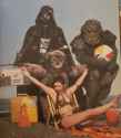 leia-beachball-vader-ewok