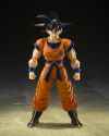 SHF 孫悟空 落ちこぼれのサイヤ人 01