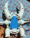 pinsir