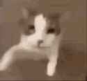 1747277354533