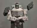 Prima shoulder pads