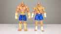 sagat