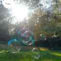 bubble fun