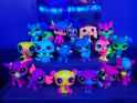 LSPblacklight