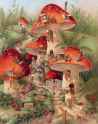 dreamhome