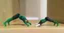 Hal Downward Dog