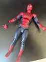 spider