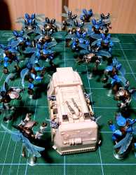 infestation