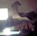 sw-momaw-movie