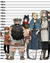 meshis height