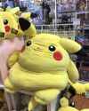 Pika