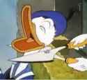 donald laugh decapitation