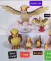 Pidgeot_20th_Scale