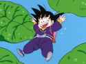 Goku_sliding_on_leaves