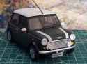mini model
