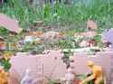 20250604_142515adj