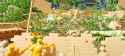 20250604_150223adj