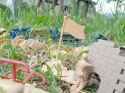 20250604_150651adj