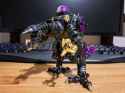 warudersaur