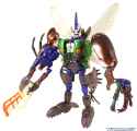 Tripredacus_toy