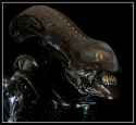 takayuki alien 3
