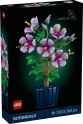 botanicals-10372-hibiscus-official-reveal-v0-s2iblht4tcaf1