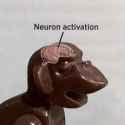 3BC4E736-3E2B-4B95-84DE-24C8E06689B8