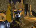 cheetor thumbs up