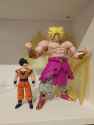 BDbroly