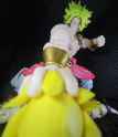 bought BD goku as an accessory for broly
