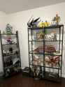 collection-update-v0-9l3wa5gyn9af1